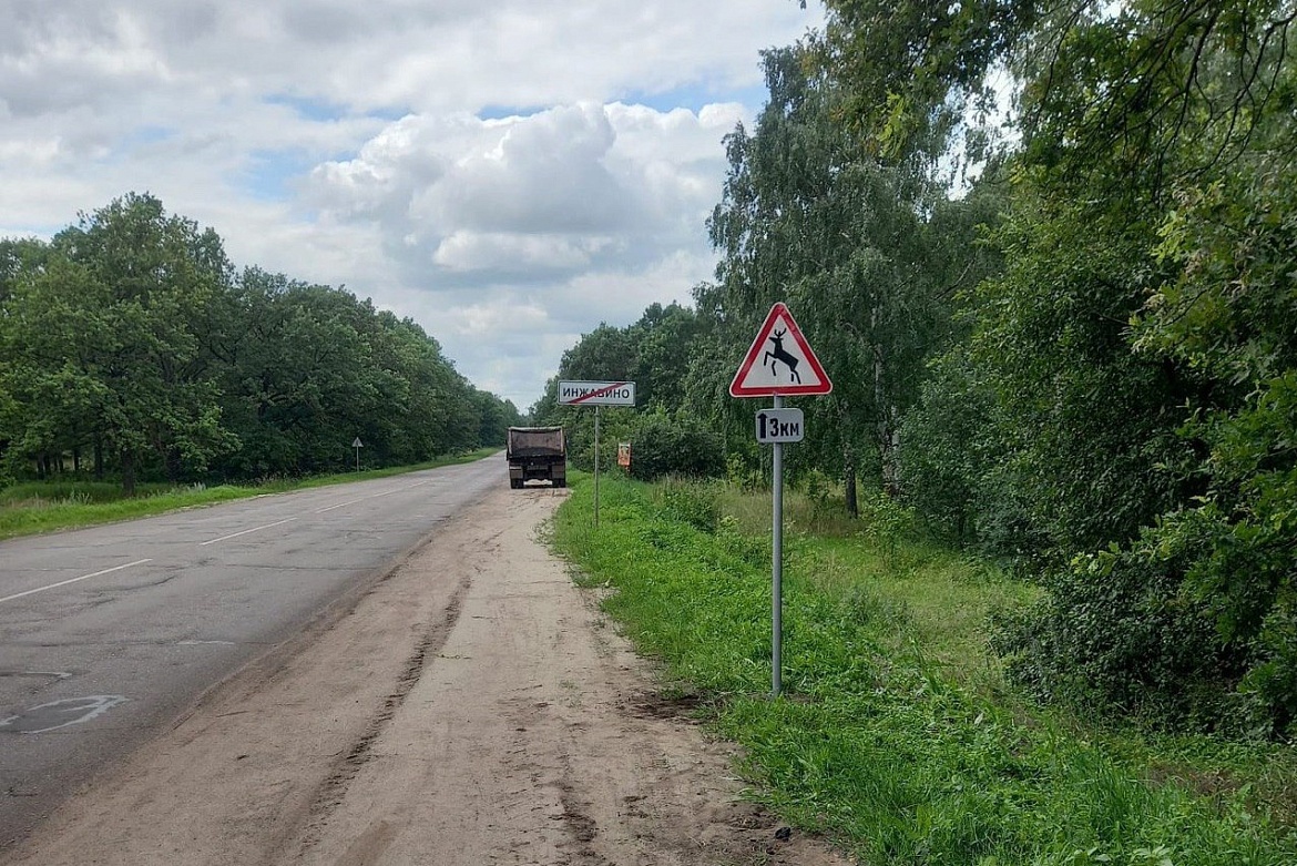 В Тамбовской области установят дорожные знаки "Дикие животные"