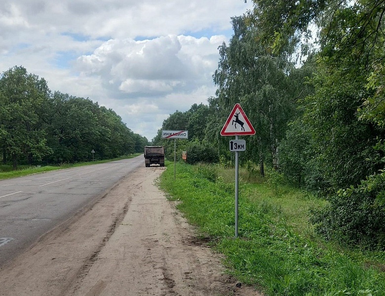В Тамбовской области установят дорожные знаки "Дикие животные"